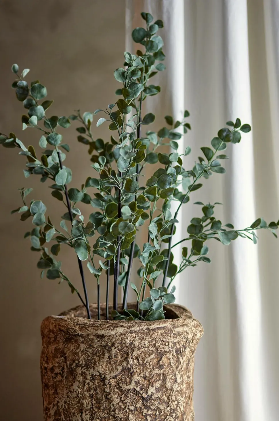 Bloomingville Eucalyptus Plante