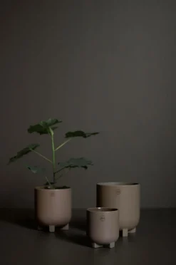 DBKD Krukke Plus mini