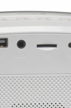 Denver Bluetooth-højttalere BTM-610 med mikrofon og karaokefunktion