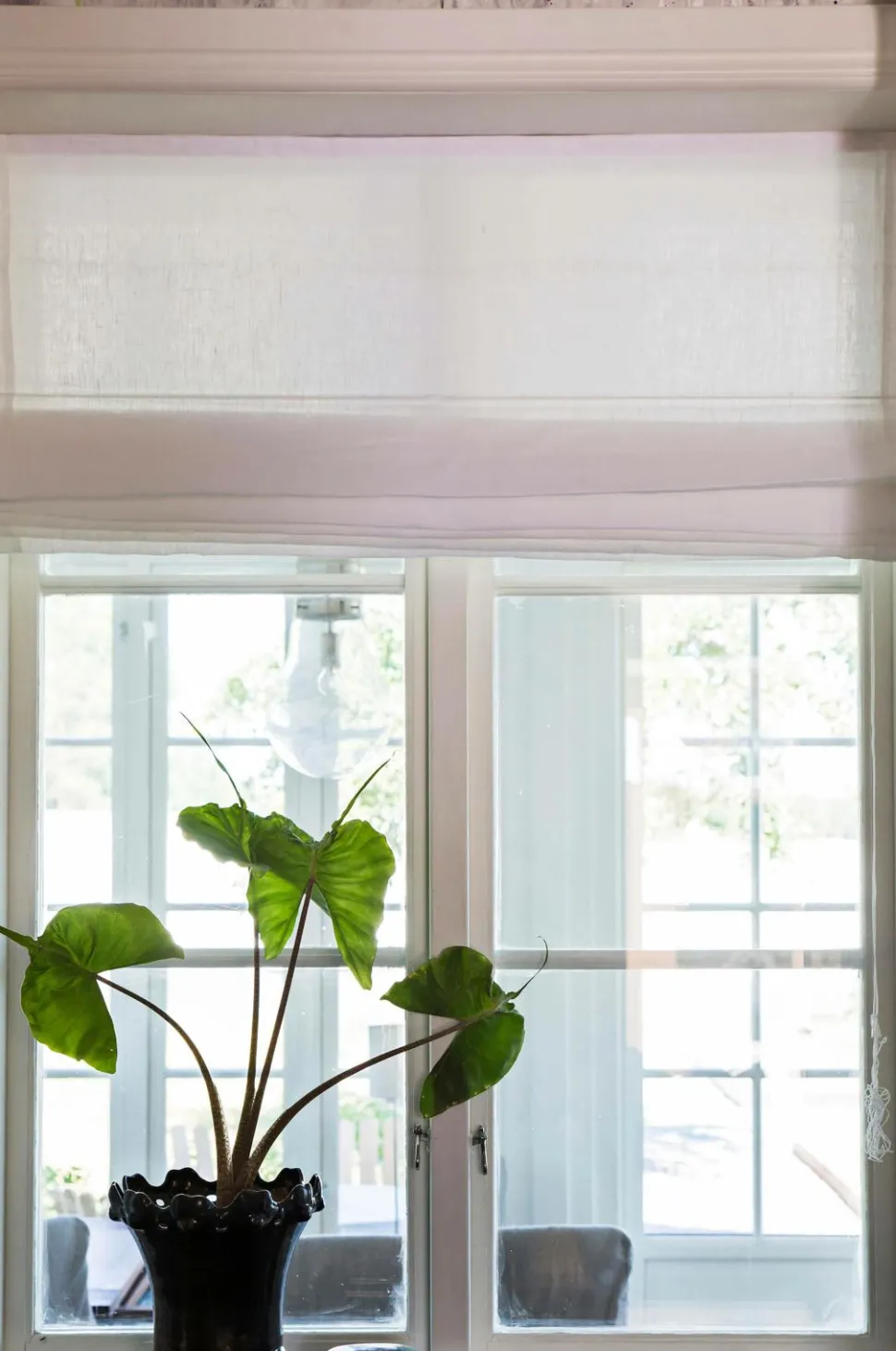 Himla Roman Blind Sunday