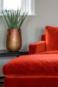 Nordic Furniture Group Aloe Vera plante H 50 cm