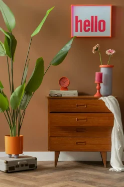 Present Time Plantekrukke Double Funky Medium