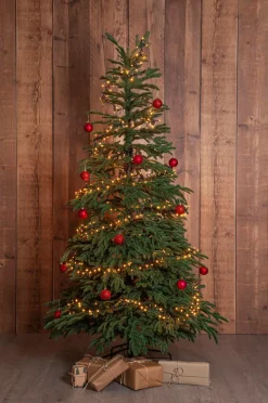 Star Trading Juletræ Edane 210 cm