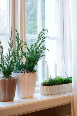 Wikholm Form Lysestage Edna
