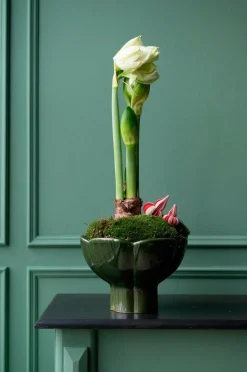 Wikholm Form Plantning Denise