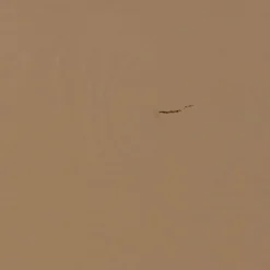 WOOOD Bogstativ Jet