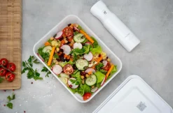 ZWILLING Vakuumbox Fresh & Save frysbox